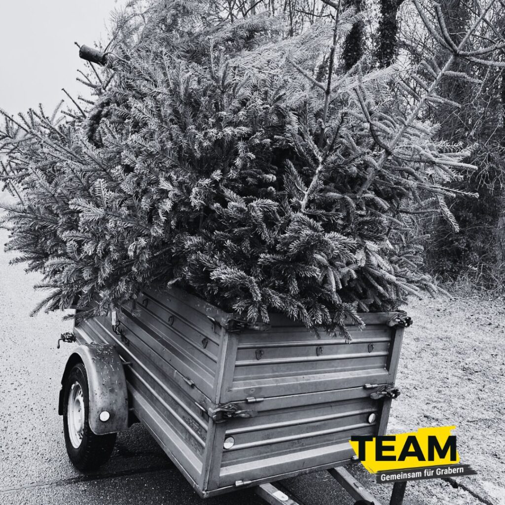 Instagram post from teamgemeinsamfuergrabern. This post is in position 0.